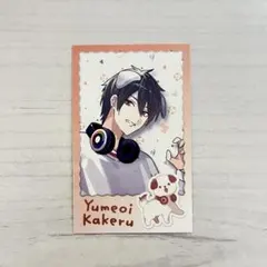 にじさんじ 夢追翔 わんにゃんdays フォトカード