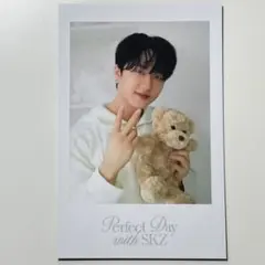 Perfect Day with SKZ シーグリ ポラロイド チャンビン