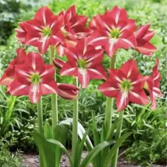 まーちゃん♡プロフも読んでね様 リクエスト 2点 まとめ商品