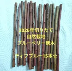 2026年最新】ブルーベリー穂木の人気アイテム - メルカリ