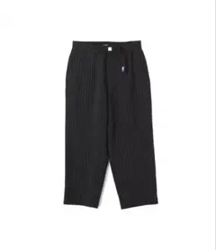 THE NORTH FACE Striped Field Pants【36】