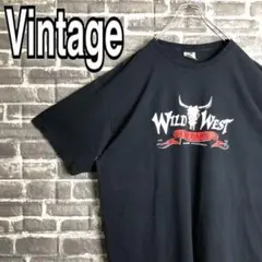 フルーツオブザルーム☆Tシャツ デカロゴ 90s ゆるだぼ 一点物 j9