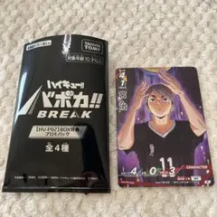 ハイキュー バボカ BREAK 最強の挑戦者　プロモパック　宮治