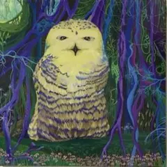 絵画 アクリル画 原画 フクロウ 幻想風景 絵画 アクリル画 原画 フクロウ 幻想風景 - メルカリ