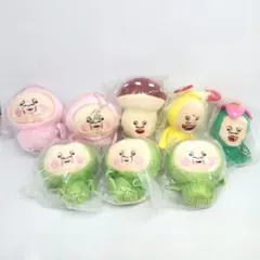 新品　こびとづかんのぬいぐるみ　ガチャ　マスコット　キーホルダー