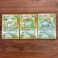 旧裏 フシギダネ フシギソウ イントロパック 3枚セット プレイ用