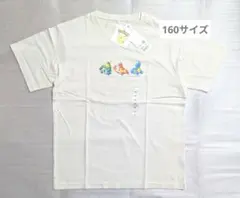 ポケモン　御三家　Tシャツ　160　半袖　ヒトカゲ　ゼニガメ　フシギダネ　②