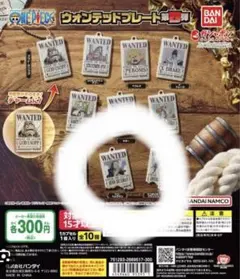 ワンピース ウォンテッドプレート カプセルトイ