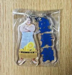 めじるしアクセサリー　安青錦