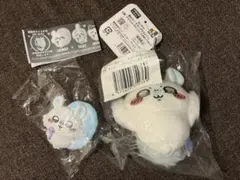 モモンガセット