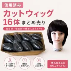 2026年最新】カットウィッグ 三矢の人気アイテム - メルカリ