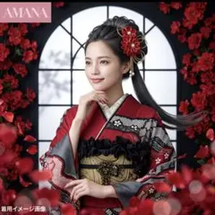 京都きもの友禅 振袖8点フルセット 赤系 蝶 金彩 成人式 前撮り 正絹
