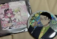 キミとアイドルプリキュア♪ホログラム缶バッジ　第2弾　タナカーン