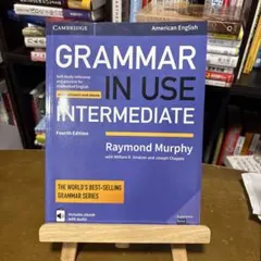 Grammar in Use Intermediate