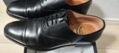 シャインオアレインのサムネイル