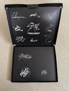 Stray Kids STAY JAPAN 公式 特典 ミラー・ピンバッジ