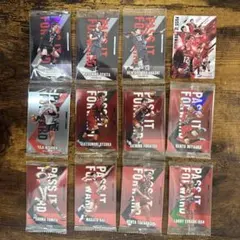 バレーボール トレーディングカードセット