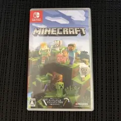Minecraft Nintendo Switch