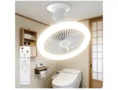 Item thumbnail for item c5f34c0d-e401-4626-9a8a-6f6349b3b579