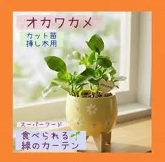 まゅ様 リクエスト 2点 まとめ商品