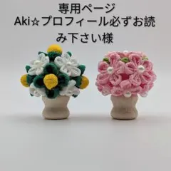 Item thumbnail for item 6b6228b6-7730-425f-a6ab-9b1483cc404a