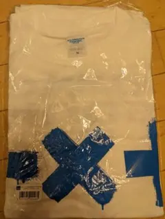 Item thumbnail for item 04d96254-4ba5-472f-8e9d-101640bccef2