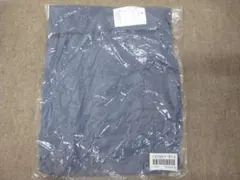 Item thumbnail for item 745e1be7-4b2b-4aa9-a127-7a86a110f969