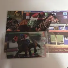 【競馬】フォーエバーヤング　カード（ノーマル）ポストカードセット