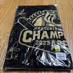 Item thumbnail for item dd4b34f0-cf16-4be6-873e-0720ceedf1b4