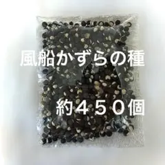 みっきぃ様 リクエスト 2点 まとめ商品