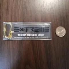 EXTREME III SIDES TO EVERY STORY キーホルダー