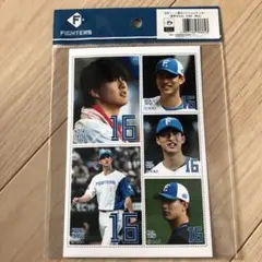 日本ハムファイターズ　切手シート風オリジナルステッカー　達孝太 #16