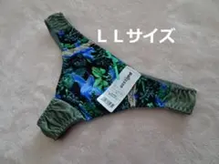 C239-2★【匿名配送】Tバック ショーツ(グリーン系)LL【複数購入割引有】