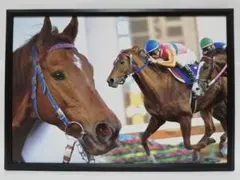 Item thumbnail for item d151572e-ca31-4ff1-8cf8-d31e3f9f3bd4