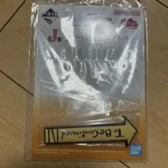 ジョジョの奇妙な冒険 一番くじ J賞 マグネット