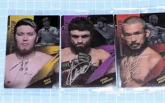 RIZINウエハース'25 No.7 8.10 計3枚