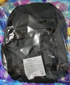 千葉ロッテマリーンズリュック