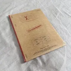 スキズ MAXIDENT CASE ver. チャンビン 新品未開封