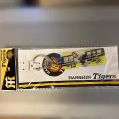 Item thumbnail for item 6107f5ae-0466-4f42-9bf8-bbadfca11099