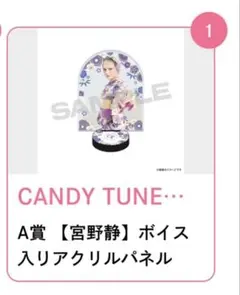 立花琴未 すきくじ アクリルフォトパネル - メルカリ