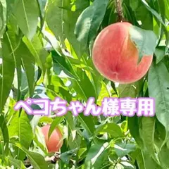 【ペコちゃん様専用】　桃