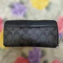 Item thumbnail for item 78420687-cc66-4a48-9c31-9d3f49727155