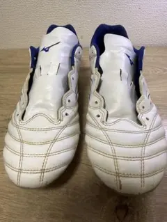 モナルシーダネオ