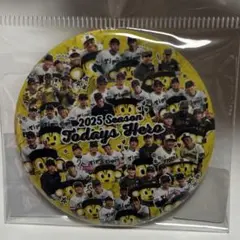 かっくん様 リクエスト 2点 まとめ商品