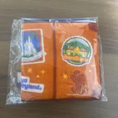 ディズニー　バケーションパッケージ　ミニタオル