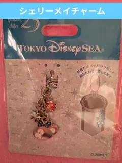 ディズニーシー25周年 スパークリングジュビリー シェリーメイ　チャーム