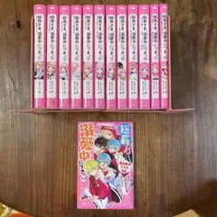 総長さま、溺愛中につき。 1〜12全巻➕11.5巻 13冊セット