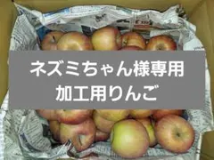 【ネズミちゃん様専用c7】加工用りんご