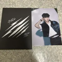 Stray Kids スキズ ソリクン ラントレ チャンビン