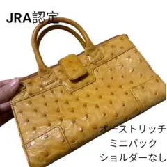 美品✨ オーストリッチ JRA 認定 ボストン ショルダーバッグ ピンク